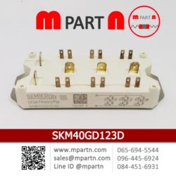 IGBT Module SEMIKRON SKM40GD123D