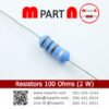 Resistors 100 Ohms (2 W)