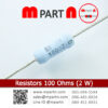 Resistors 100 Ohms (2 W)