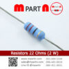 Resistors 22 Ohms (2 W)