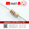 Resistors 220 Ohms (2 W)