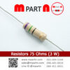 Resistors 75 Ohms (3 W)