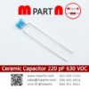 Ceramic Capacitor 220 pF 630 VDC