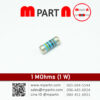 1 MOhms (1 W)