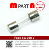 Fuse 8 A 250 V