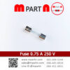 Fuse 0.75 A 250 V