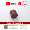 Fuse 100 mA 250 V