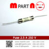 Fuse 2.5 A 250 V