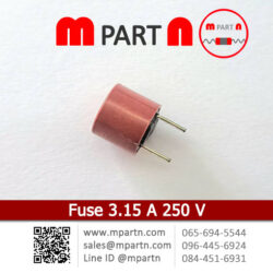 Fuse 3.15 A 250 V