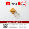 Fuse 0.30 A 250 V