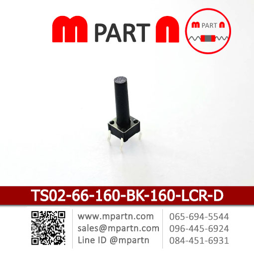 TS02-66-160-BK-160-LCR-D TS02-66-160-BK-160-LCR-D