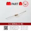 5.1 kOhms (1 W)