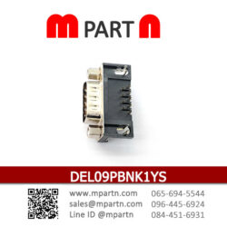DEL09PBNK1YS