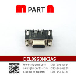DEL09SBNK2AS