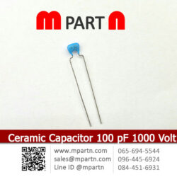Ceramic Capacitor 100 pF 1000 Volt