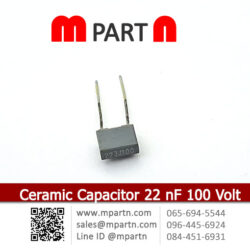 Ceramic Capacitor 22 nF 100 Volt