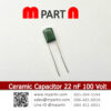 Ceramic Capacitor 22 nF 100 Volt
