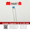 Ceramic Capacitor 22 nF 630 Volt