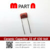 Ceramic Capacitor 22 nF 630 Volt