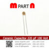 Ceramic Capacitor 220 pF 100 Volt