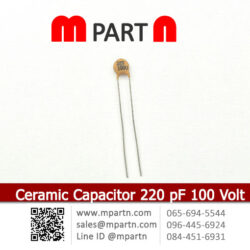 Ceramic Capacitor 220 pF 100 Volt