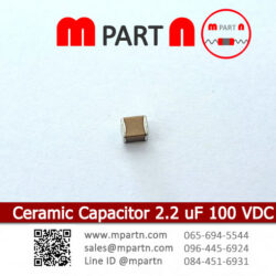 Ceramic Capacitor 2.2 uF 100 VDC