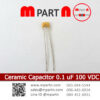 Ceramic Capacitor 0.1 uF 100 VDC
