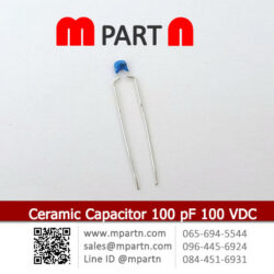 Ceramic Capacitor 100 pF 100 VDC