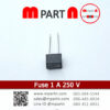 Fuse 1 A 250 V