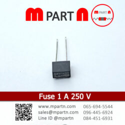 Fuse 1 A 250 V
