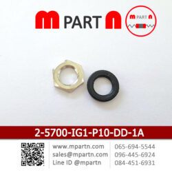 2-5700-IG1-P10-DD-1A