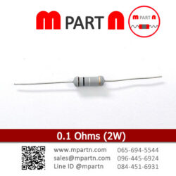 0.1 Ohms (2W)