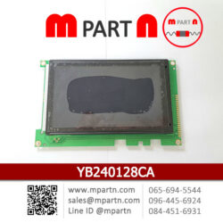 YB240128CA